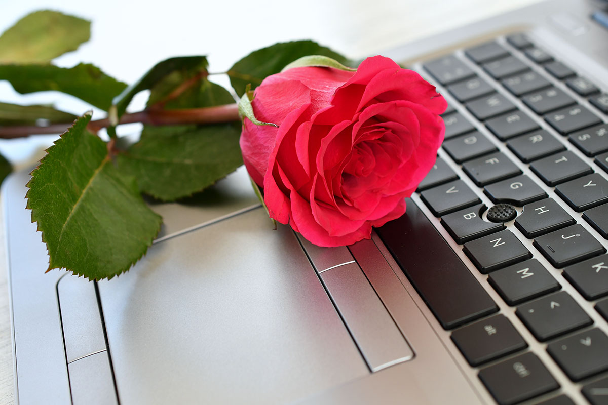 Rose on a computer keyboard